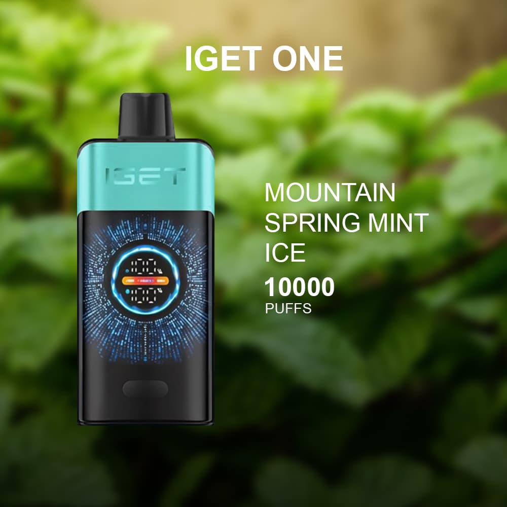 IGET ONE MOUNTAIN SPRING MINT ICE - 12000 PUFFS — buy online Australia | Buy Vape Online